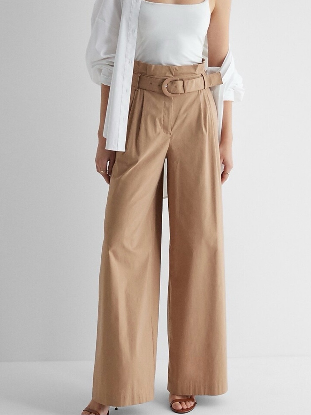 NWT Express Paperbag Wide Leg Pants